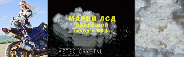 apvp Алзамай