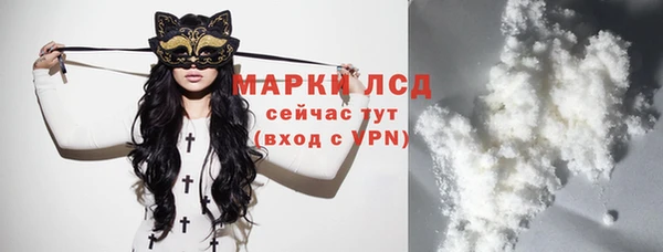 apvp Алзамай