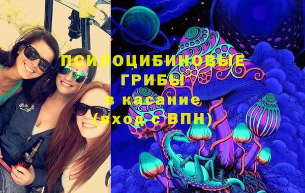 apvp Алзамай