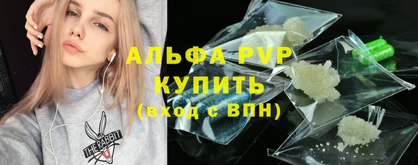 apvp Алзамай