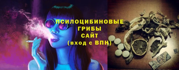 apvp Алзамай