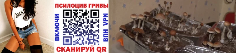 наркота  mega онион  Псилоцибиновые грибы прущие грибы  Старый Оскол 